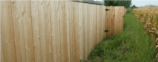 Cedar Fence Before Stain